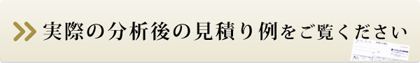 実際の分析後の見積り例をご覧ください